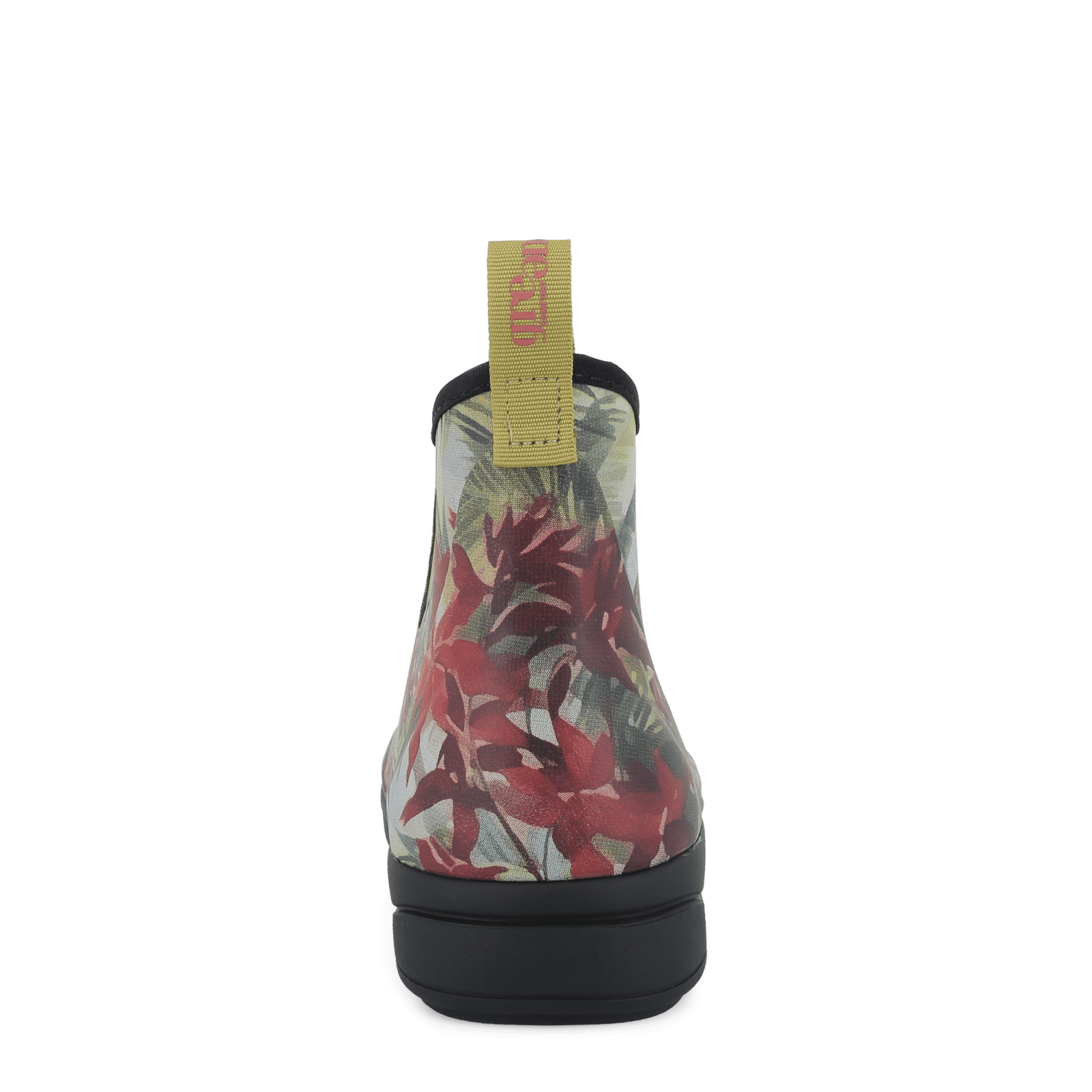 RAIN RAFAELL - HIBISCUS